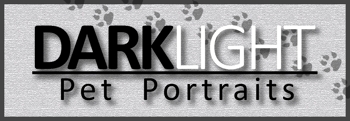 dark light pet portraits